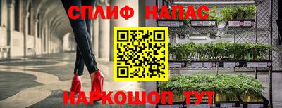 сатива Рязань