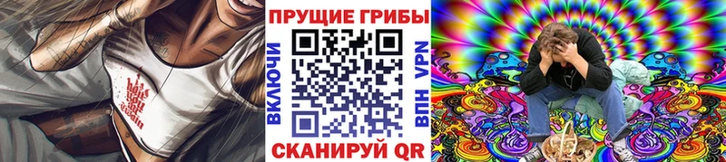 Галлюциногенные грибы MAGIC MUSHROOMS  купить наркотики сайты  Полевской 