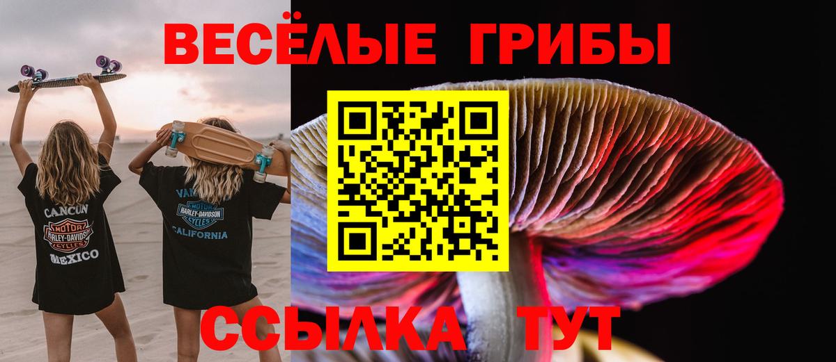 Галлюциногенные грибы прущие грибы Полевской